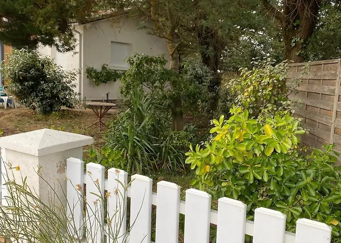Maison Avec Jardin Arbore Et Calme